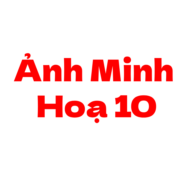 Ảnh chi tiết sản phẩm
