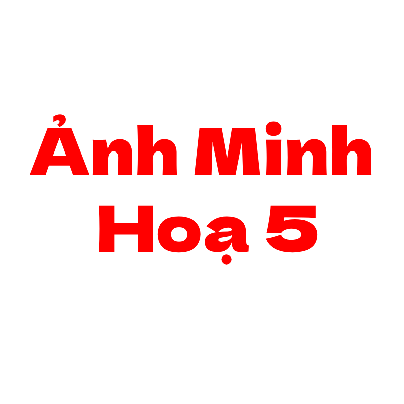 Ảnh chi tiết sản phẩm