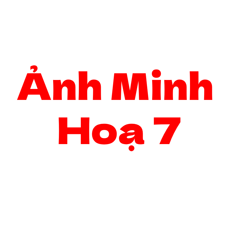 Ảnh chi tiết sản phẩm