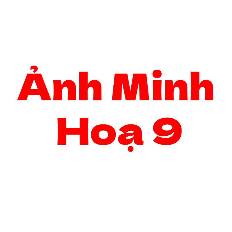 Ảnh chi tiết sản phẩm